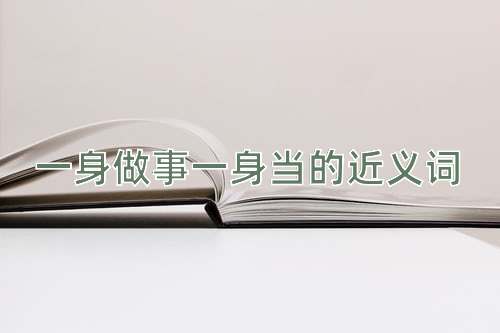 一身做事一身当的近义词