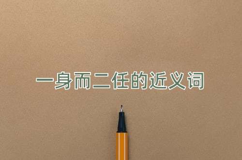 一身而二任的近义词