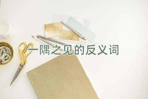 一隅之见的反义词