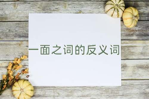 一面之词的反义词