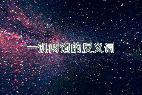 一饥两饱的反义词