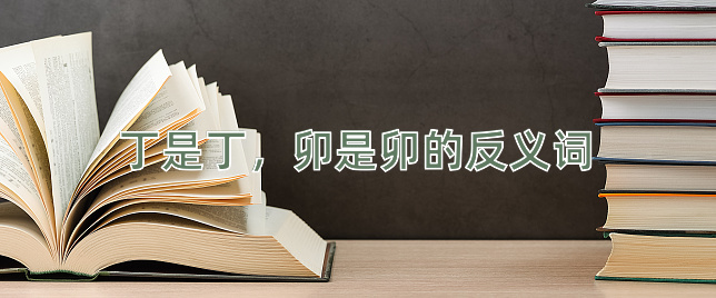 丁是丁，卯是卯的反义词