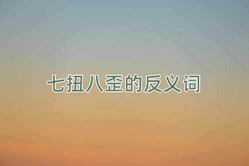 七扭八歪的反义词