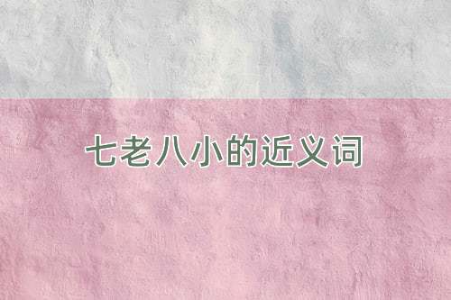 七老八小的近义词