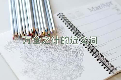 万全之计的近义词