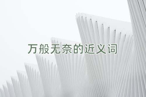 万般无奈的近义词