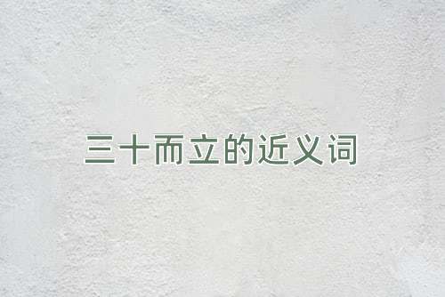 三十而立的近义词