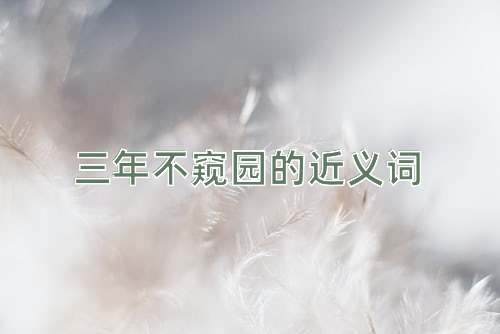 三年不窥园的近义词