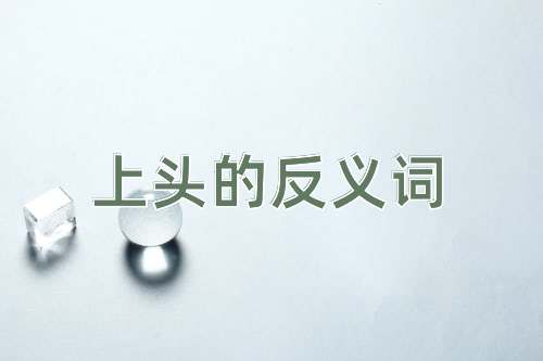 上头的反义词