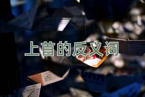 上首的反义词