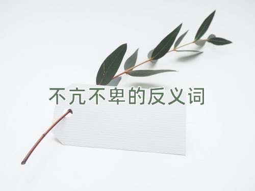 不亢不卑的反义词