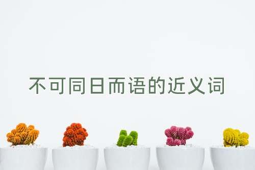 不可同日而语的近义词