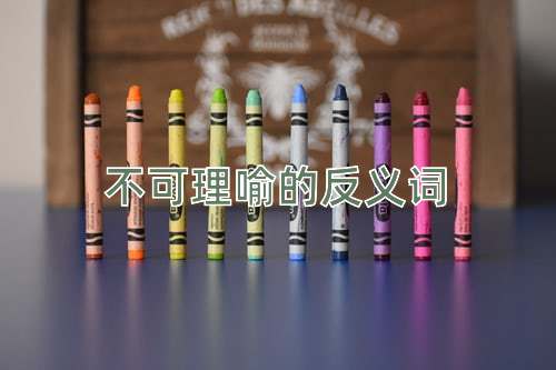 不可理喻的反义词