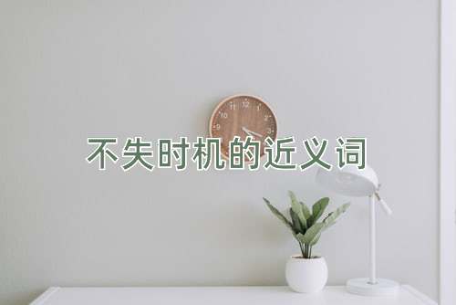 不失时机的近义词