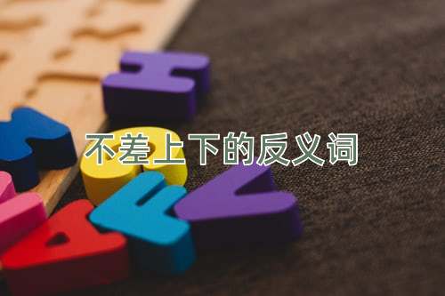 不差上下的反义词