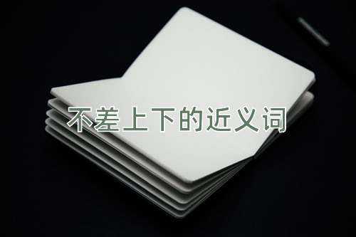 不差上下的近义词