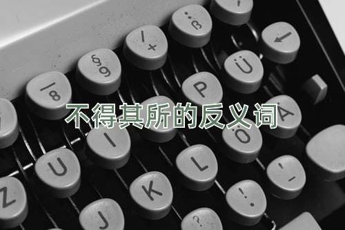 不得其所的反义词