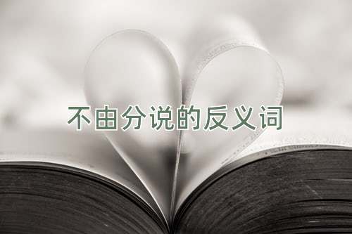 不由分说的反义词