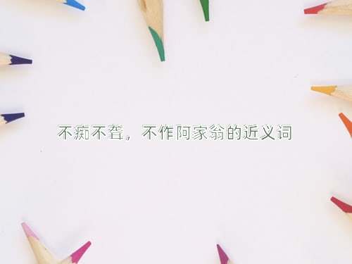 不痴不聋，不作阿家翁的近义词