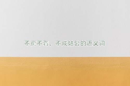 不痴不聋，不成姑公的近义词
