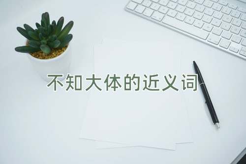 不知大体的近义词