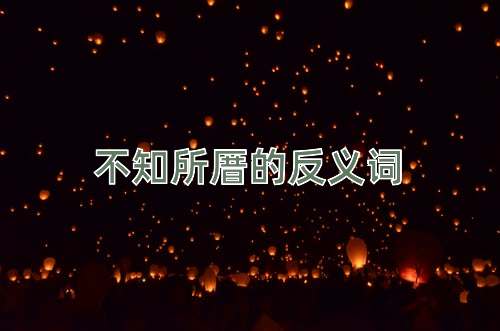不知所厝的反义词