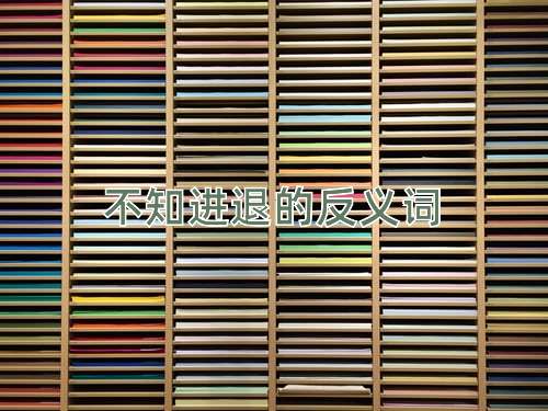 不知进退的反义词
