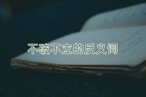 不破不立的反义词