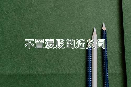 不置褒贬的近义词