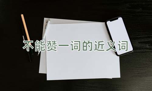 不能赞一词的近义词