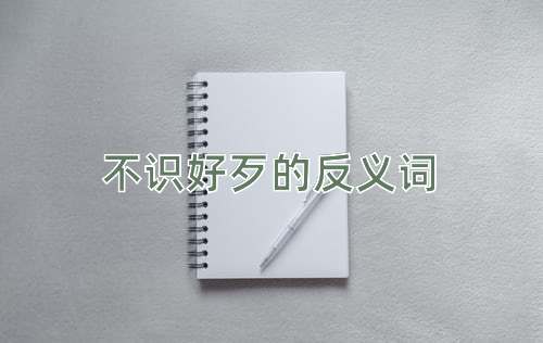 不识好歹的反义词
