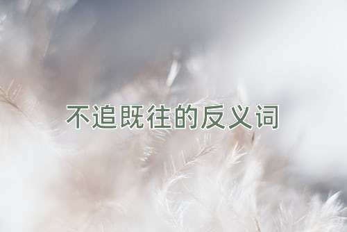 不追既往的反义词