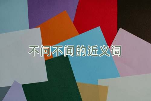 不问不闻的近义词