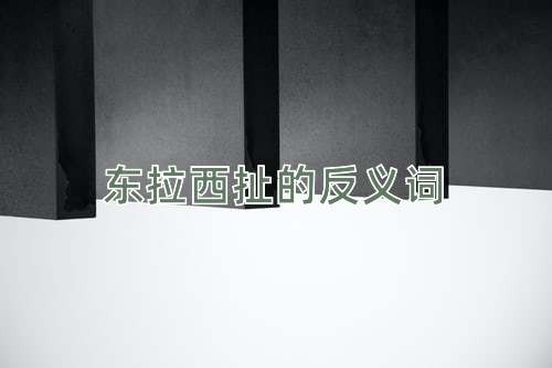 东拉西扯的反义词