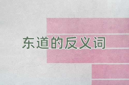 东道的反义词
