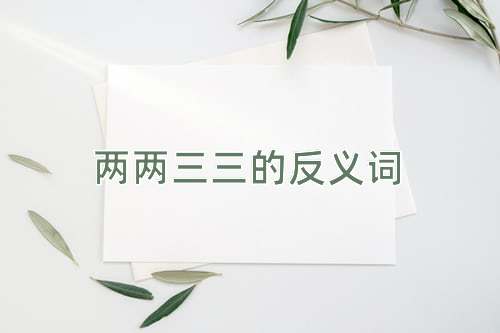 两两三三的反义词