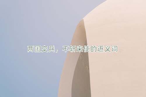 两国交兵，不斩来使的近义词
