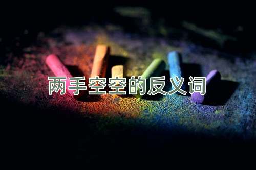 两手空空的反义词