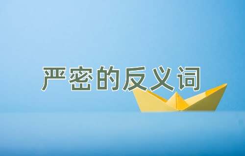 严密的反义词