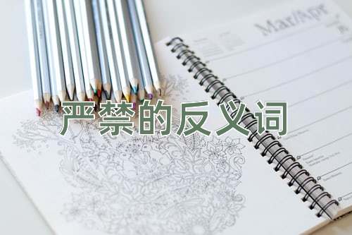 严禁的反义词