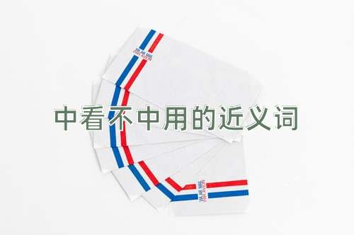 中看不中用的近义词