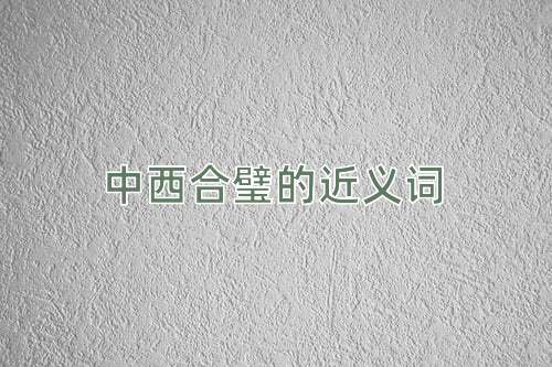 中西合璧的近义词