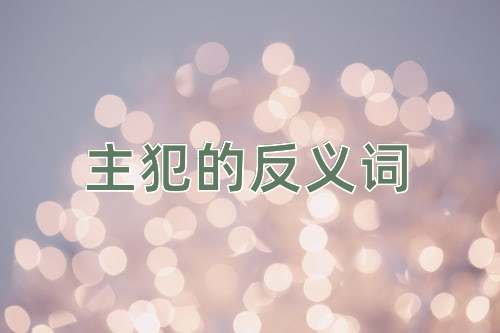 主犯的反义词