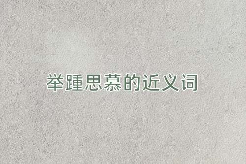 举踵思慕的近义词