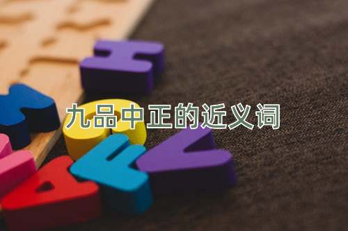 九品中正的近义词
