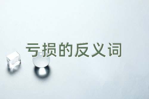 亏损的反义词