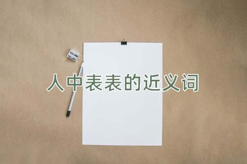 人中表表的近义词