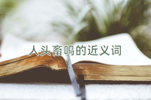 人头畜鸣的近义词