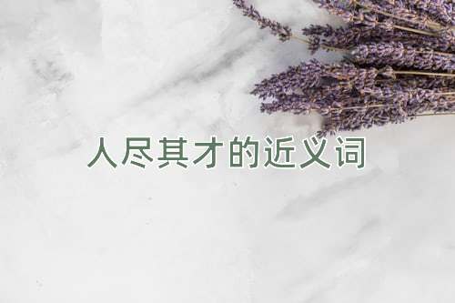 人尽其才的近义词