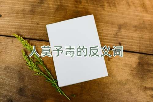 人莫予毒的反义词